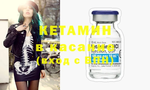 сатива Новозыбков