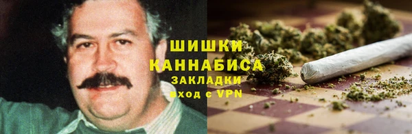 твердый Новодвинск