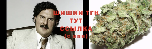твердый Новодвинск