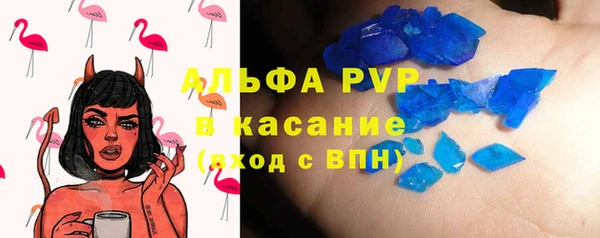 твердый Новодвинск