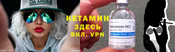 сатива Новозыбков