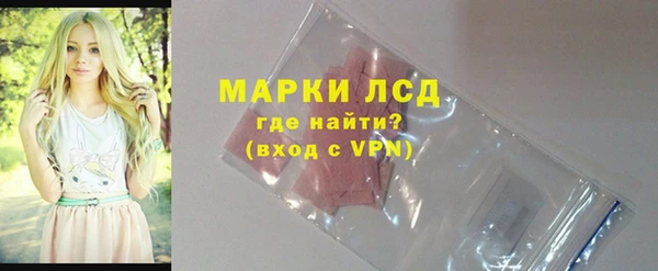 твердый Новодвинск