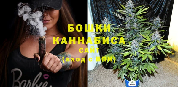 твердый Новодвинск