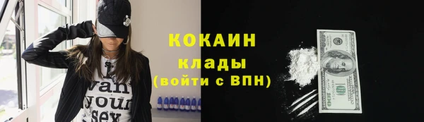 сатива Новозыбков