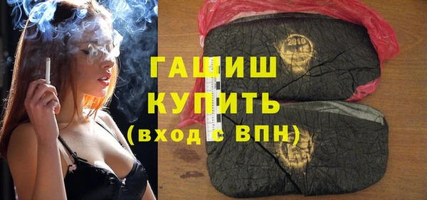 сатива Новозыбков