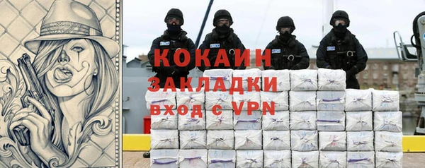 сатива Новозыбков