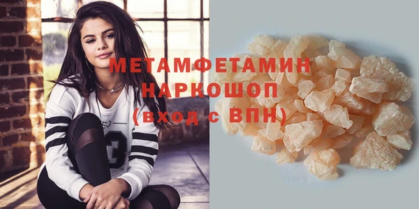 сатива Новозыбков