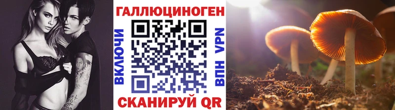 Псилоцибиновые грибы мухоморы  хочу   Анадырь 